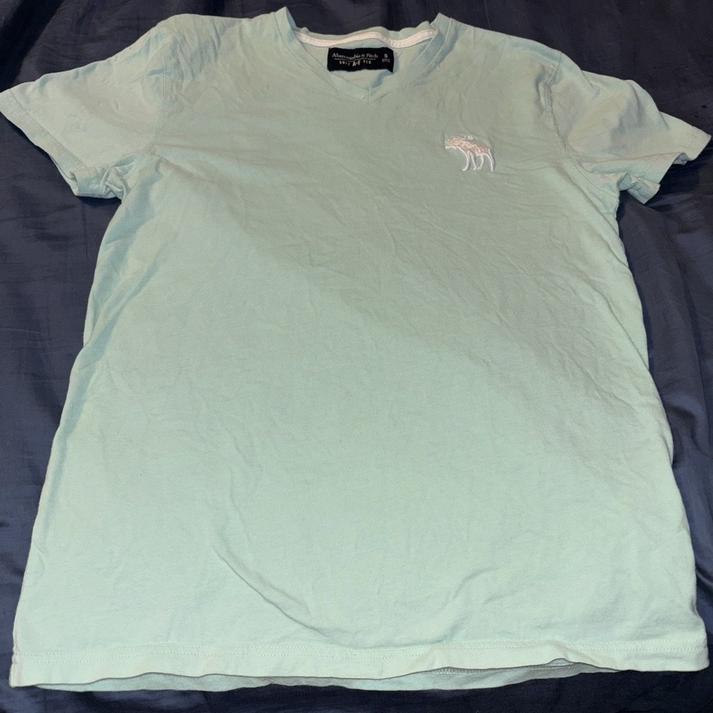 Abercrombie & Fitch , Men's Small, Green, Short Sleeve V-Neck Logo On‎ Chest